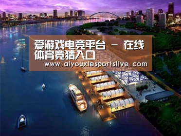 案例展示八