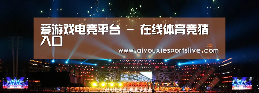 文化传媒策划演出网站模板